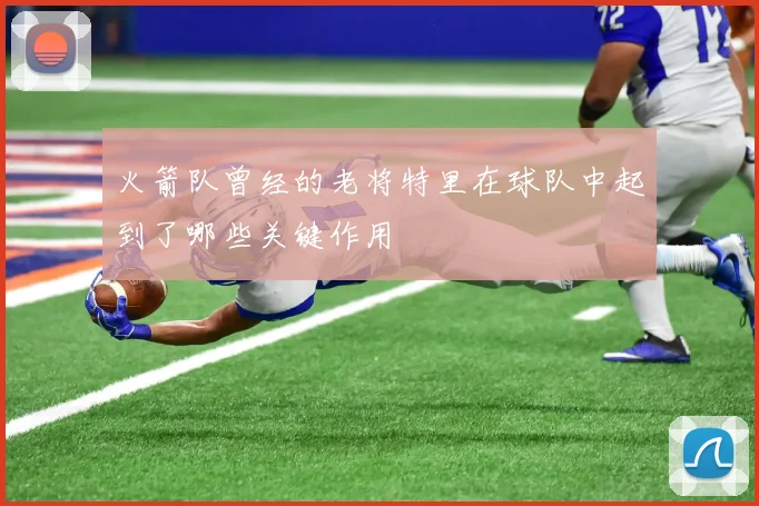 火箭队曾经的老将特里在球队中起到了哪些关键作用