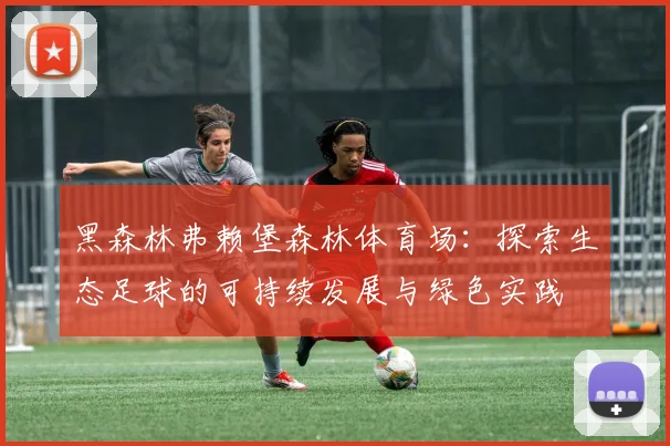 黑森林弗赖堡森林体育场：探索生态足球的可持续发展与绿色实践