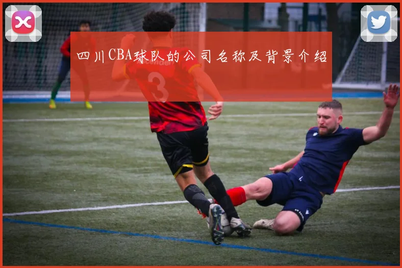 四川CBA球队的公司名称及背景介绍